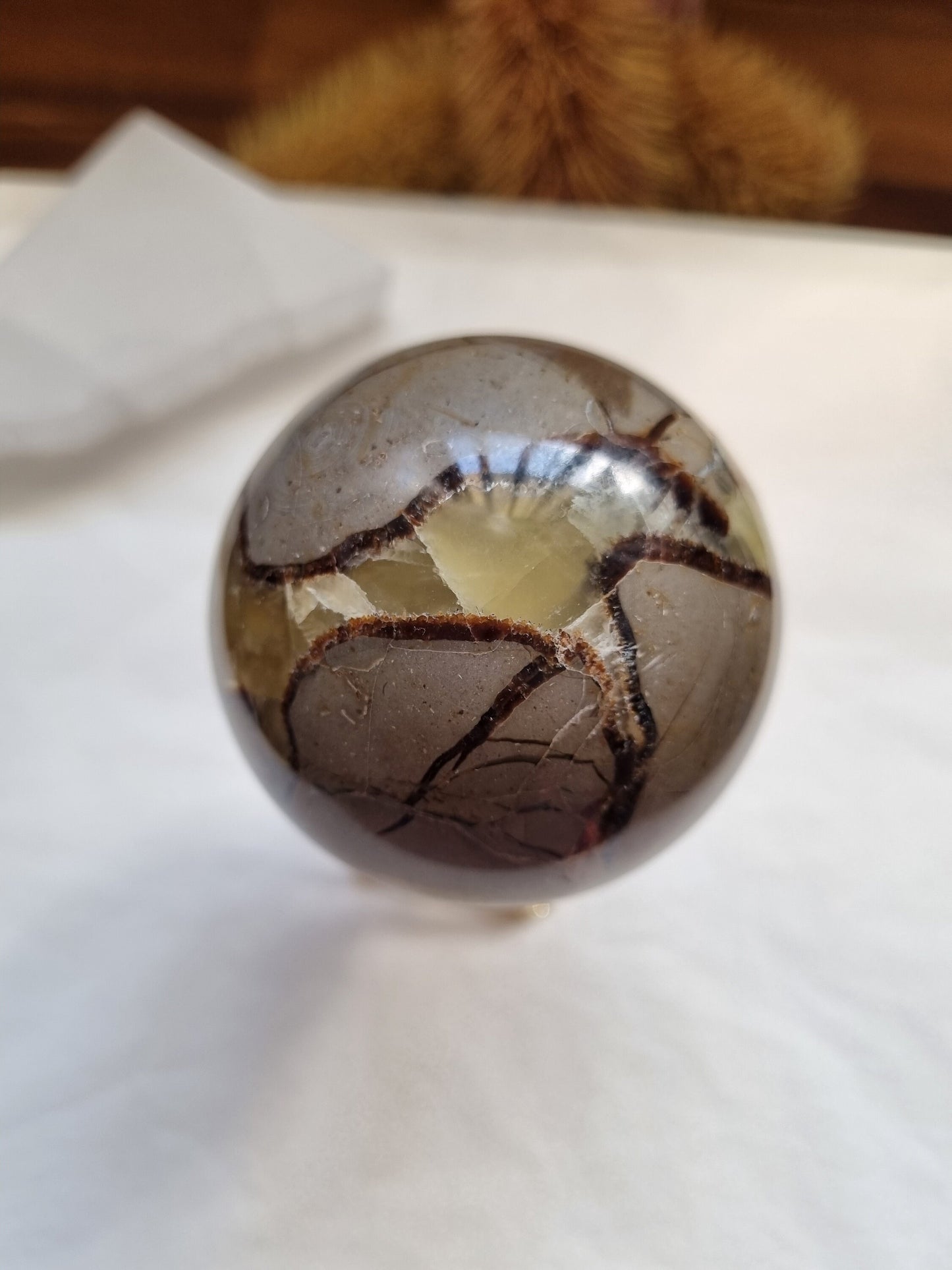 Dragon Septarian Sphere 6cm