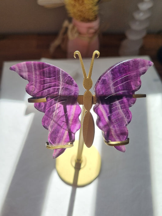Purple pink Fluorite butterfly wings with gold stand