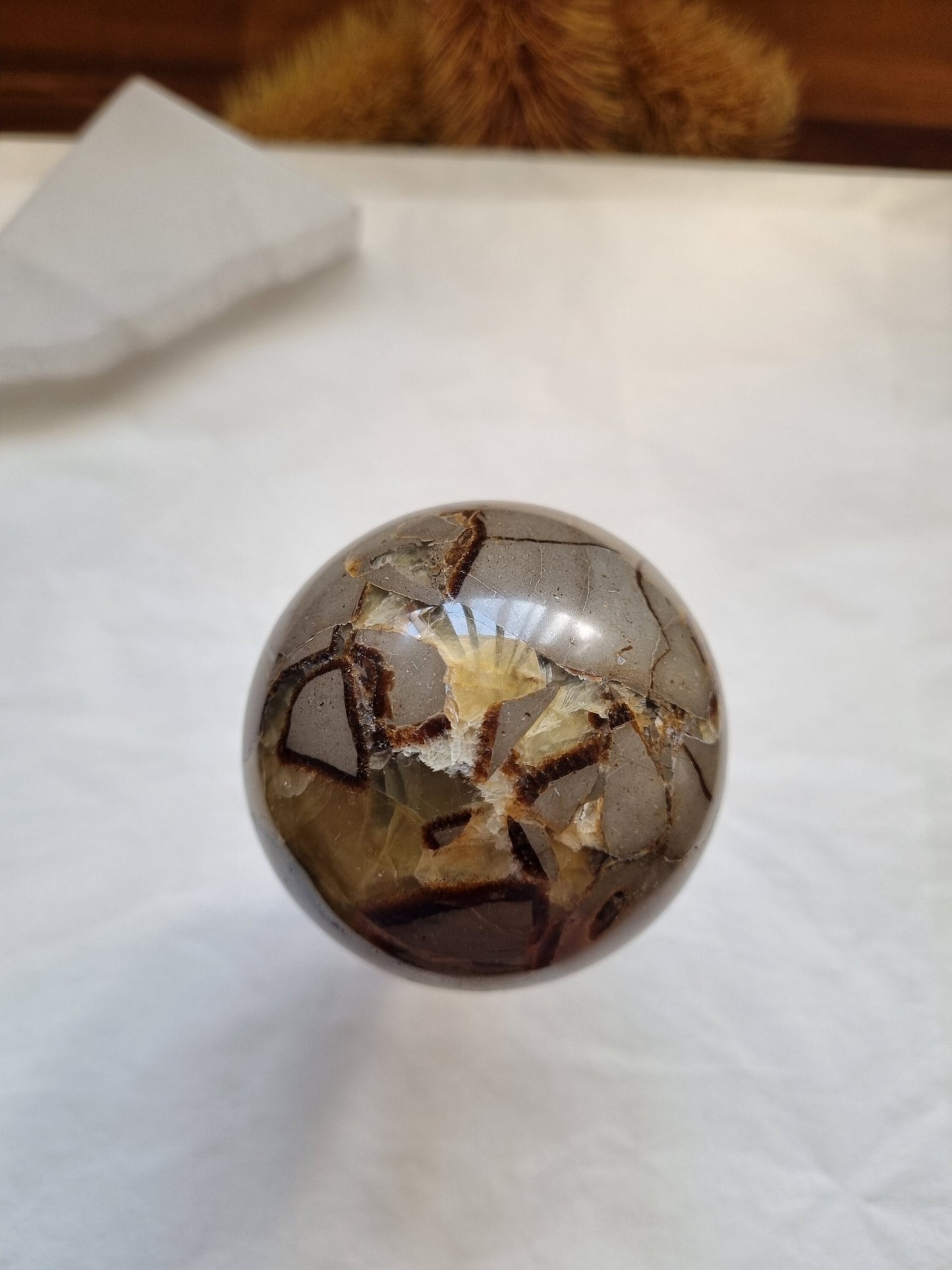 Dragon Septarian Sphere 6cm