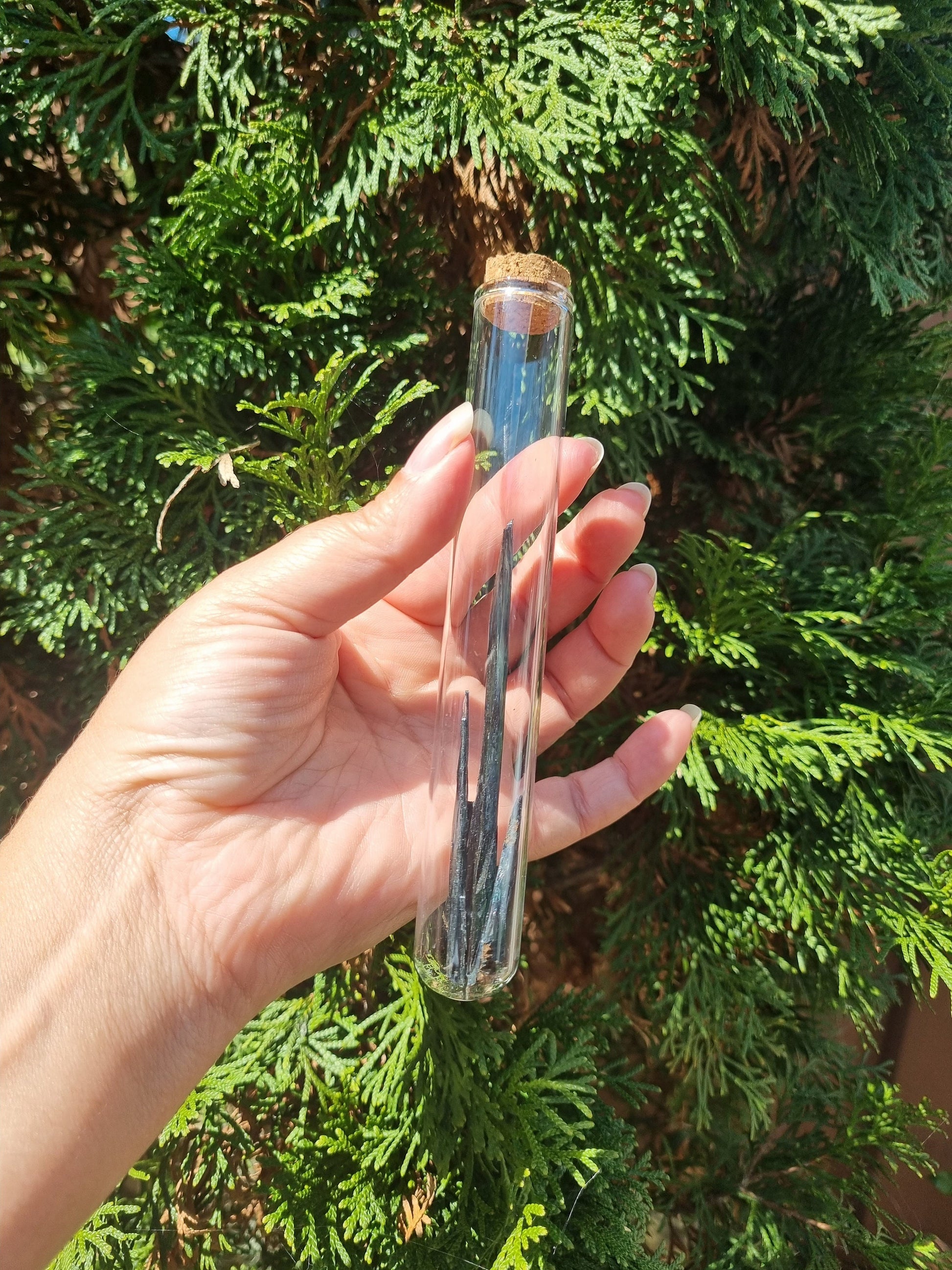 vivianite shards in a tube