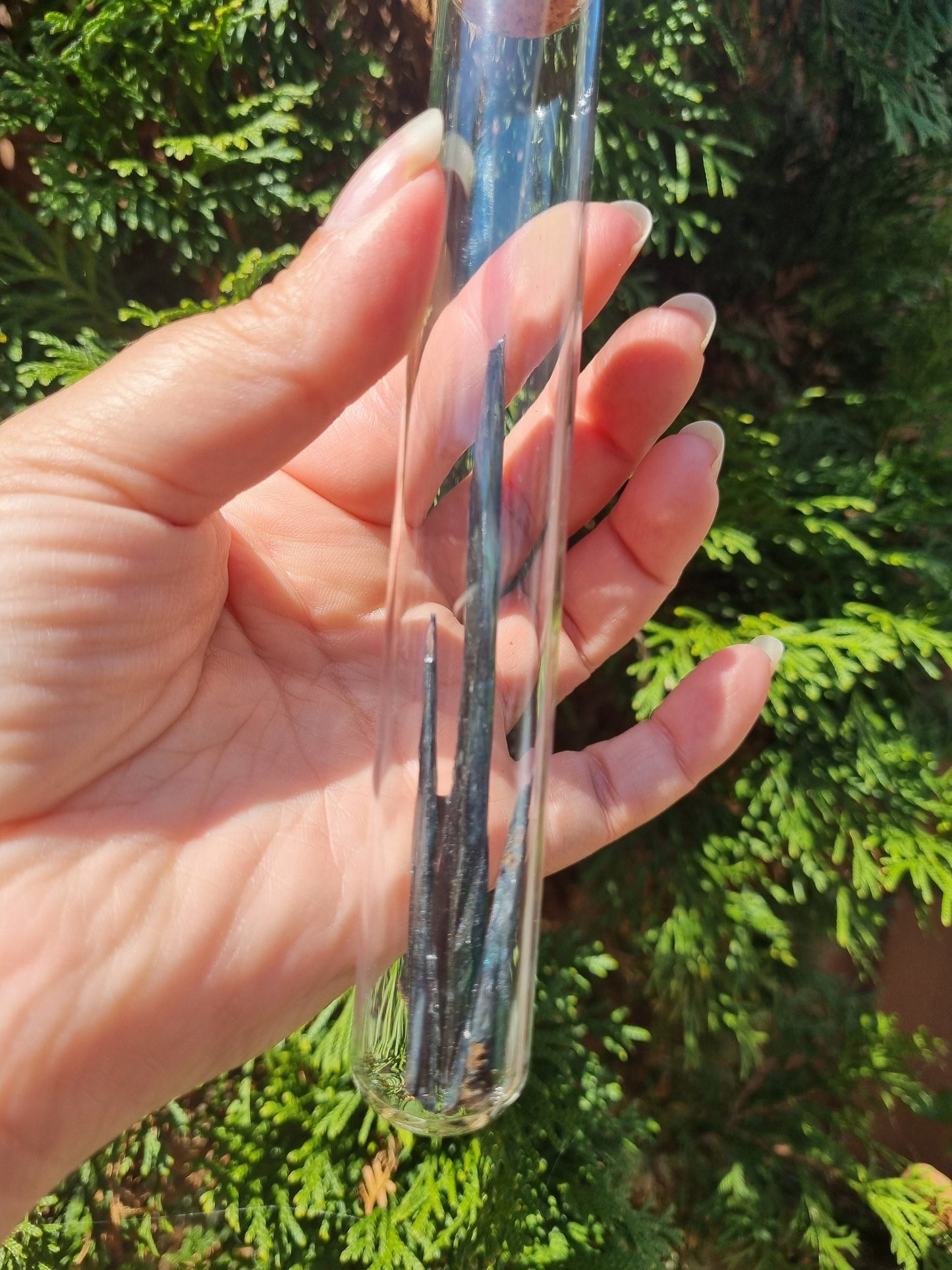 Raw Vivianite shards in test tube