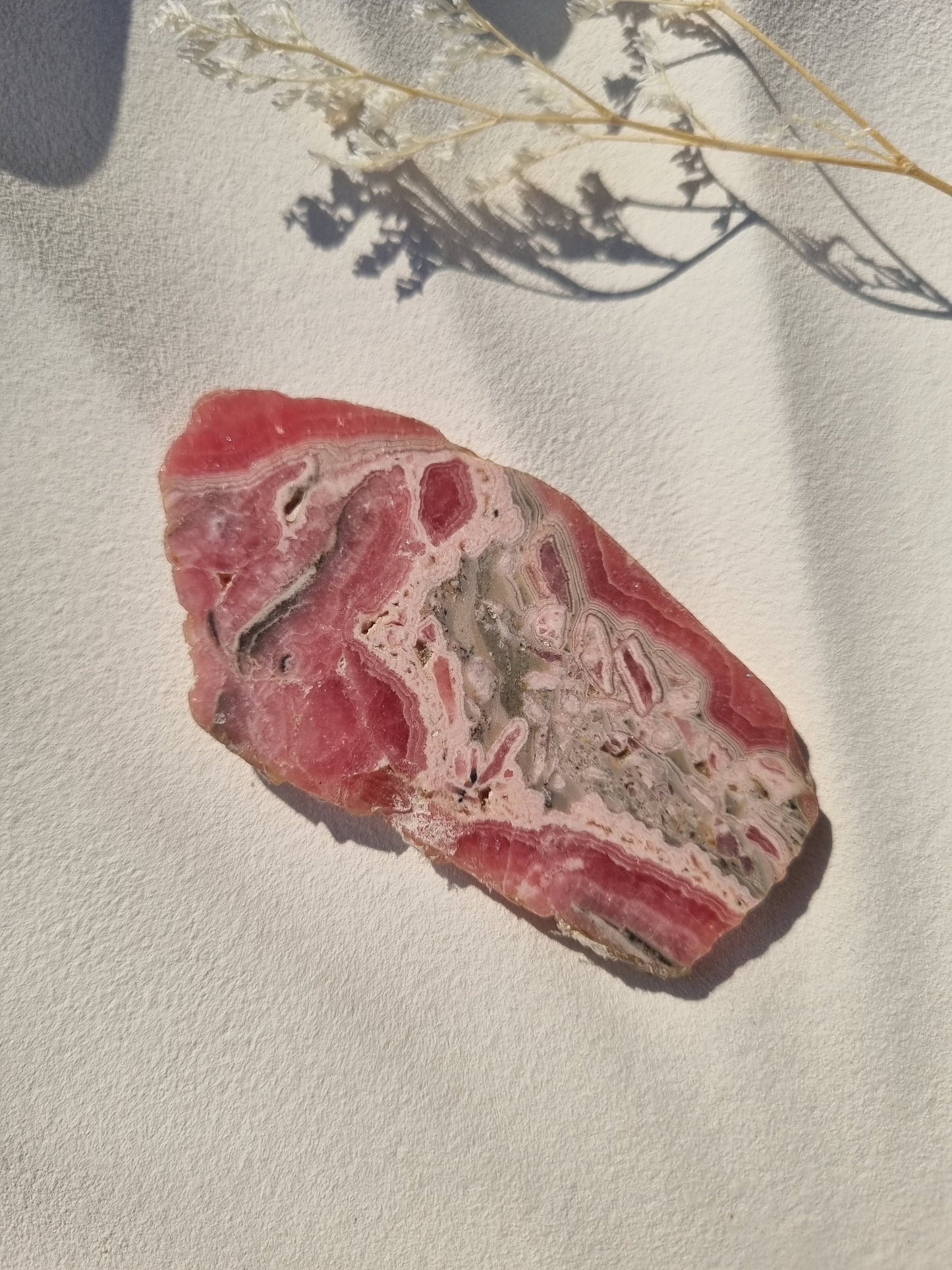 Rhodochrosite Slice from Argentinia / Crystal