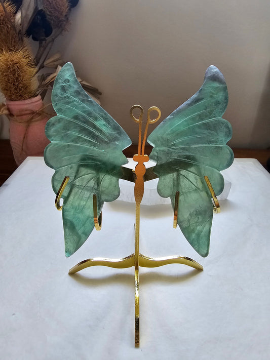 Green fluorite butterfly wings