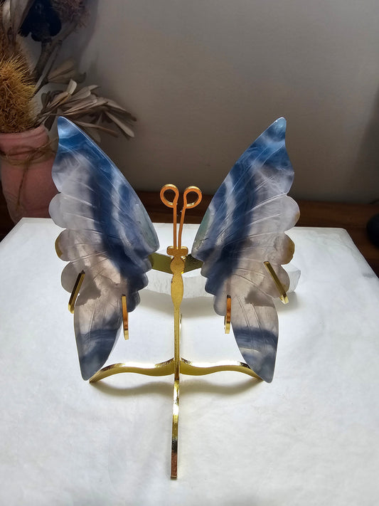 Blue fluorite butterfly wings