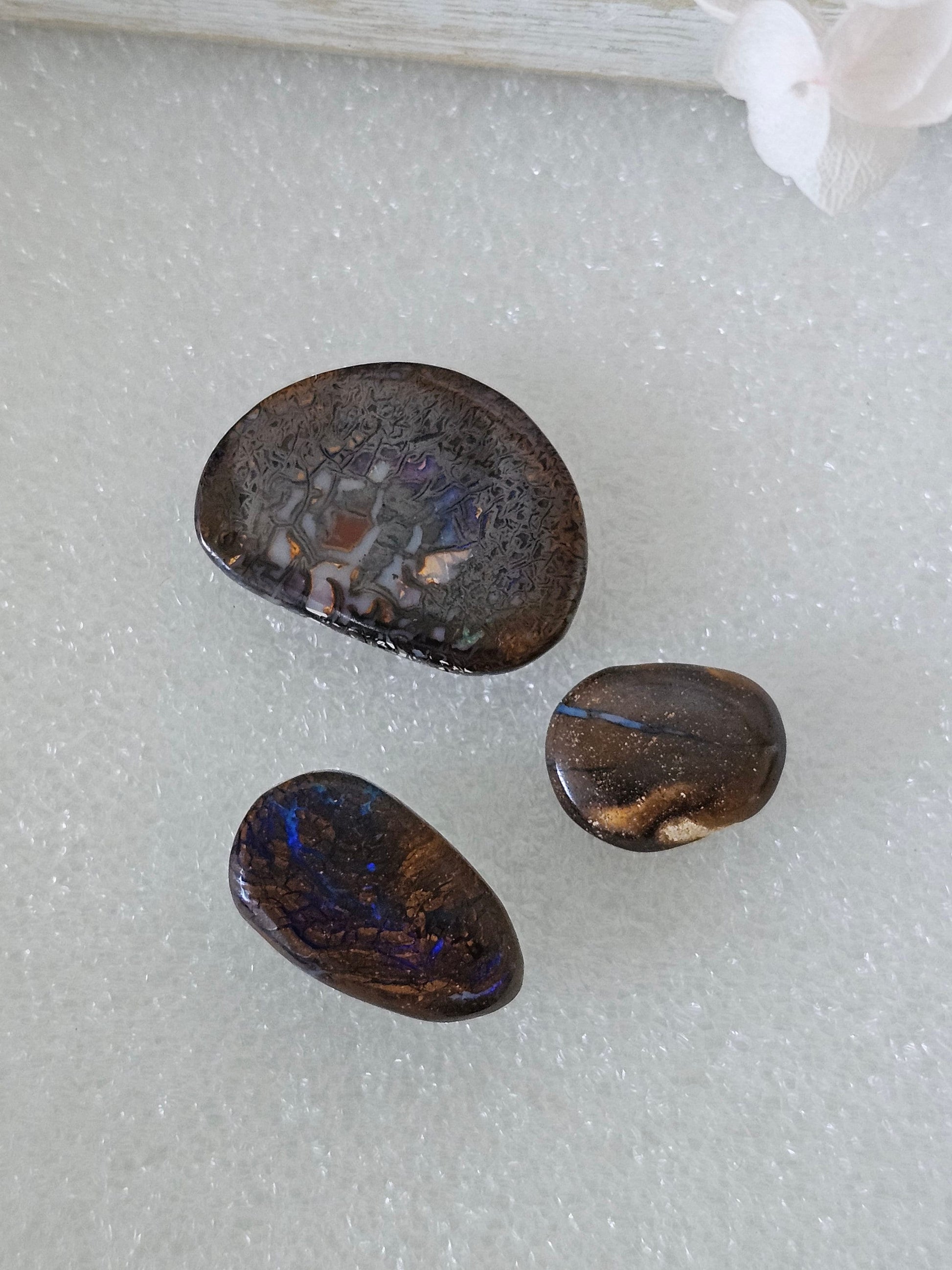 3 x Bulk Australian QLD boulder opal / Cabochon